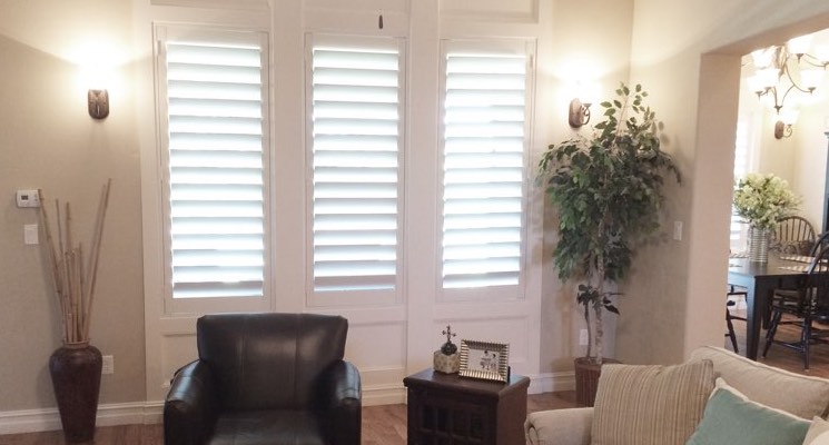 Gainesville living room white shutters